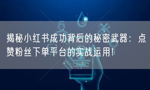 揭秘小红书成功背后的秘密武器:点赞粉丝下单平台的实战运用!