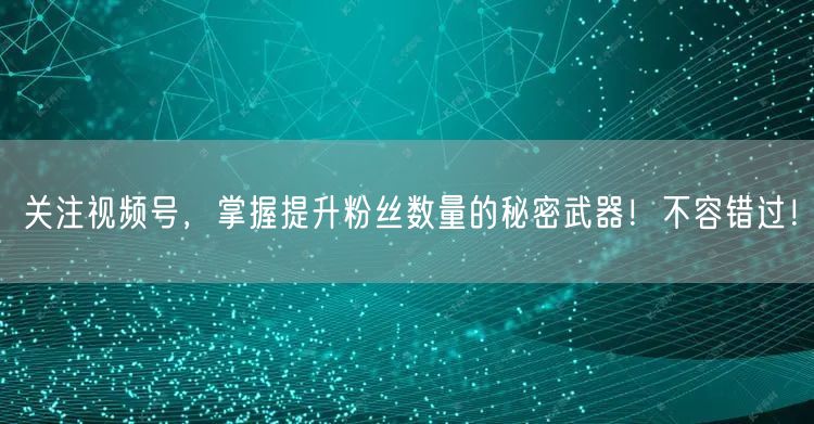 关注视频号，掌握提升粉丝数量的秘密武器！不容错过！