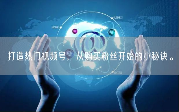 打造热门视频号,从购买粉丝开始的小秘诀。