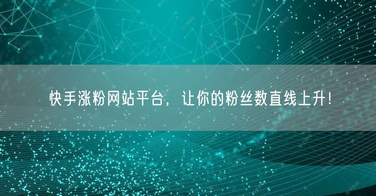 快手涨粉网站平台,让你的粉丝数直线上升!