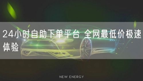 24小时自助下单平台 全网最低价极速体验