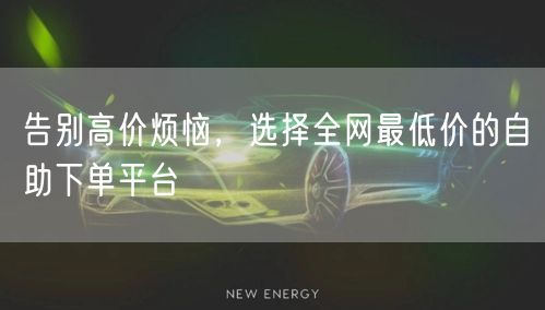 告别高价烦恼，选择全网最低价的自助下单平台