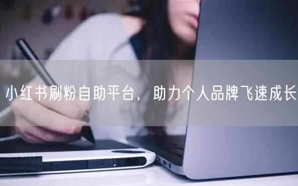 小红书刷粉自助平台,助力个人品牌飞速成长