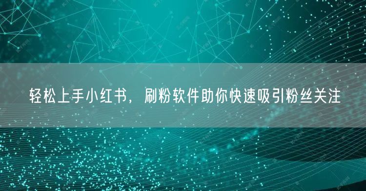 轻松上手小红书,刷粉软件助你快速吸引粉丝关注