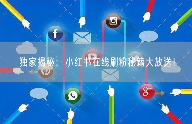 独家揭秘:小红书在线刷粉秘籍大放送!
