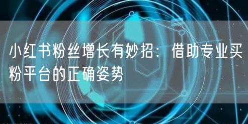 小红书粉丝增长有妙招:借助专业买粉平台的正确姿势