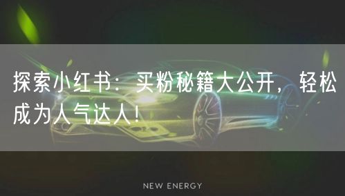 探索小红书:买粉秘籍大公开,轻松成为人气达人!