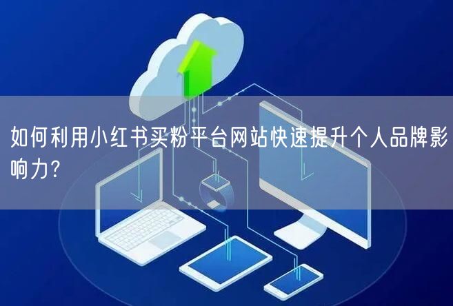 如何利用小红书买粉平台网站快速提升个人品牌影响力?