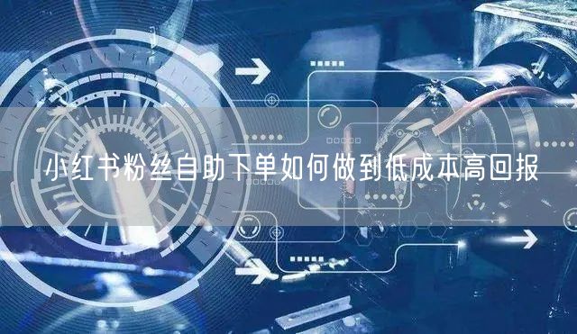 小红书粉丝自助下单如何做到低成本高回报