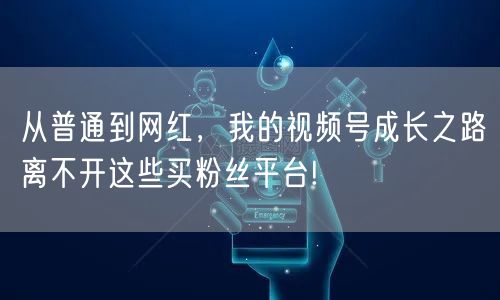 从普通到网红,我的视频号成长之路离不开这些买粉丝平台!